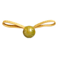 Bark - Wizarding World of Harry Potter - The Golden Snitch
