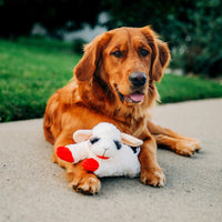 Happy Pet - Lamb Chop Dog Toy - Small