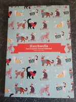 Hatchwell - Xmas Advent Calendar For Cats