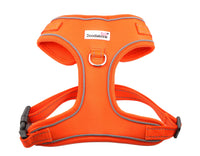 Doodlebone - Adjustable Airmesh Harness, Tangerine