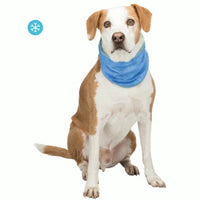 Bandana Refrescante Trixie Pequeña 20-30cm