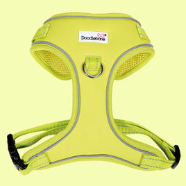 #Doodlebone - Adjustable Airmesh Harness, Citrus - Size 3-5