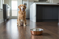Rosewood - Deluxe Steel Hammered Copper Pet Bowl - 470ml (5.5")
