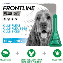 Frontline Plus Spot On Medium Dog (10-20kg)