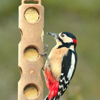 Suet to go - Mini Suet Logs 6 Pack - Berry N Bugs