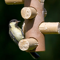 Suet to go - Mini Suet Logs 6 Pack - Berry N Bugs