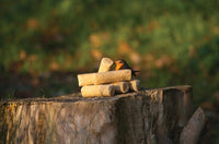 Suet to go - Mini Suet Logs 6 Pack - Berry N Bugs