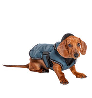 Danish Design - 2 In 1 Harness Dog Coat - Black - 35cm (14")