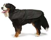 Danish Design - 2 In 1 Harness Dog Coat - Black - 35cm (14")