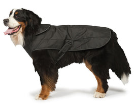 Danish Design - 2 in 1 Harness Dog Coat - Black - 30cm (12`)