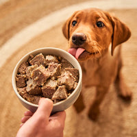 Forthglade - Puppy Wholegrain Duck With Oats And Veg - 395g Tray