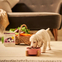 Forthglade - Puppy Wholegrain Duck With Oats And Veg - 395g Tray