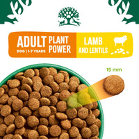 James Wellbeloved Adult Dog, Plant Power Lamb - 1.5kg