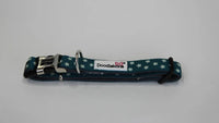 Doodlebone - Padded Collar, Teal Stars
