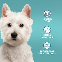 Burns - Sensitive Adult Dog Food, Duck & Rice