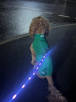 Doodlebone - Light Up LED Lead, Berry