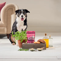 Forthglade - Soft Bites Treats, Salmon Grain Free - 90g