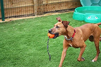 Happy Pet - Atomic Rope Ball