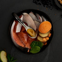 Canagan - Scottish Salmon For Cats
