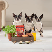 Forthglade - Soft Bites Treats Turkey Grain Free - 90g