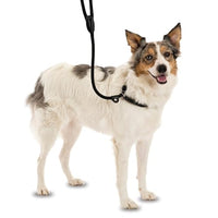 Company Of Animals - 3 In 1 Slip Lead For Dogs, Brown - Small (1.2m)