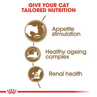 Royal Canin - Ageing Cat +12 Kibble