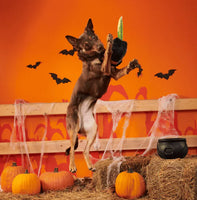 BARK - Halloween Texas Chainspaw Dog Toy