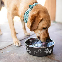 Love Pet - Bella Pet Bowl, Espresso - XLarge