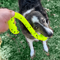 Kong - Reflex Tug 'n' Fetch