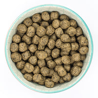 Burns - Grain Free Adult Food, Turkey & Potato
