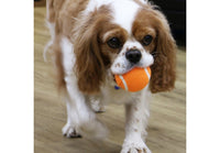 Ancol - High Bounce Tennis Ball - 6cm