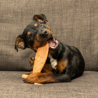 Bamboodles - Fish Dog Chew - Salmon - Small (5.5")