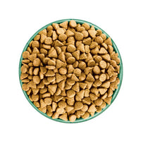 James Wellbeloved Adult Dog, Superfoods Lamb