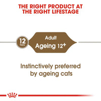 Royal Canin - Ageing Cat +12 In Jelly, 85g Pouch