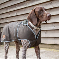 Ancol - Heritage Wax Cotton Coat, Green