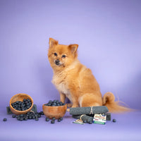 Yakers - Yak Dog Chew, Blueberry