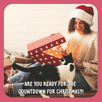 Rosewood - Cupid & Comet, Christmas Dinner Cat Stocking