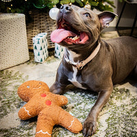 Rosewood - Tufflove Gingerbread Man Toy