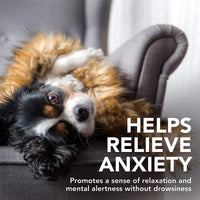 Vets Best - Comfort Calm Tablets for Dogs - 60 Pack