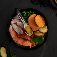 Canagan - Scottish Salmon For Dogs