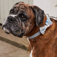 Cath Kidston - London People Leather/fabric Printed Pet Collar - Large