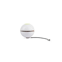 All For Paws - Interactives Rolling Laser Ball Cat Toy