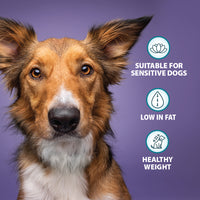 Burns - Weight Control Dog Food, Chicken & Oats