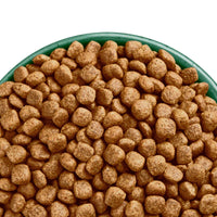 James Wellbeloved Small Breed Adult Dog, Grain Free Turkey