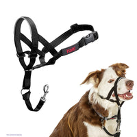 Company Of Animals - Halti Head Collar - Black