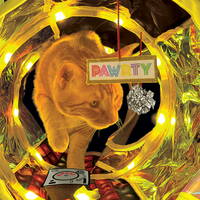 Kong - Cat Play Spaces, Rave Cave