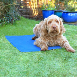 Cooler - Pet Cooling Mat - Large (60 x 90)