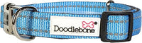 Doodlebone - Padded Collar, Cornflower