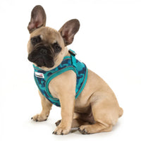 Doodlebone - Snappy Harness, Coal