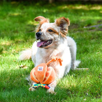 Happy Pet - The Very Hungry Caterpillar Orange Rope Tug